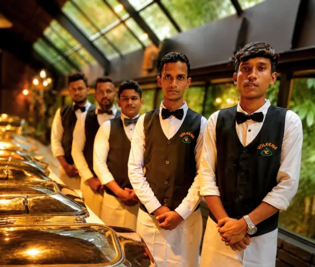 Voleena stewards
